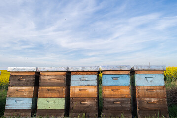 Wooden apiary crates in sunset - 780631644