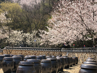 Korean traditional architectural scenery photos