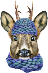 Watercolor portrait of a roe deer in a blue knitted hat and scarf on white background