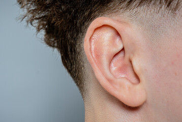 Side profile of ear and neck with short hair

