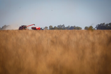 A combine harvester at work unloading onto a grain trailer while harvesting a soybean field.