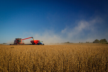 A combine harvester at work unloading onto a grain trailer while harvesting a soybean field.