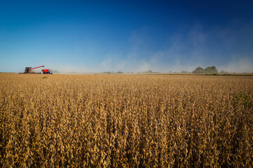 A combine harvester at work unloading onto a grain trailer while harvesting a soybean field.