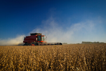 A combine harvester at work harvesting a soybean field.