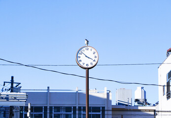 Modern wall white clock outdoors attached to small steel pole with tall concrete building and...