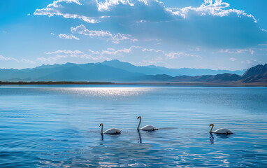 Lake water and swans in Xinjiang, China,created with Generative AI tecnology.