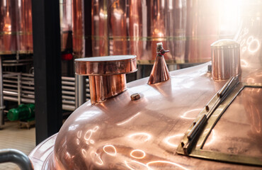 Shiny copper brewing vats and equipment in a microbrewery setting.