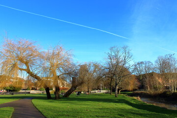 Park in Farnham, Surrey, England 