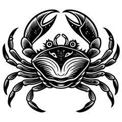 crab-head vector design 