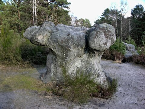 Miracle de la nature 