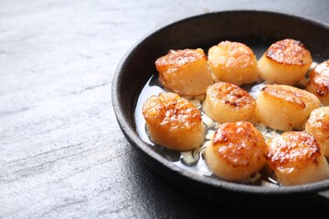 Delicious fried scallops in dish on dark gray textured table, closeup. Space for text
