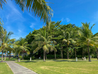 Greenery yard full of trees at day near the beach against blue sky.