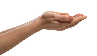 Religion. Woman with open palms praying on white background, closeup