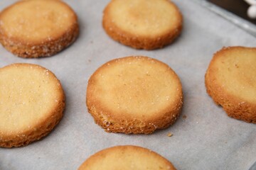 Tasty sweet sugar cookies on tray, closeup