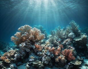 Fototapeta na wymiar Ocean coral reef. Sea world under water background. AI Generated.