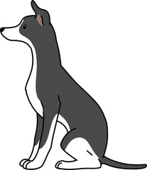 Simple and adorable illustration of Italian Greyhound sitting in side view