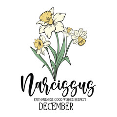 Narcissus, December, birth month flower svg, birth month flower
