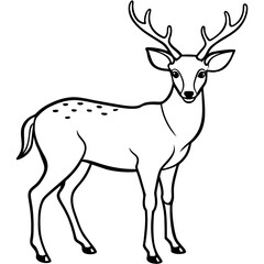 Fototapeta premium Deer vector illustration style. with line art.