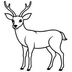       Deer  vector illustration style.
