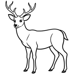       Deer  vector illustration style.

