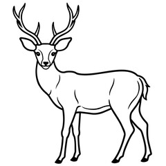       Deer  vector illustration style.
