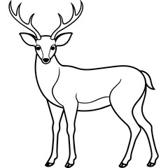       Deer  vector illustration style.
