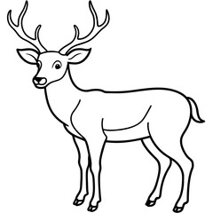       Deer  vector illustration style.
