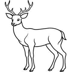       Deer  vector illustration style.
