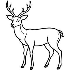 Fototapeta premium Deer vector illustration style. 