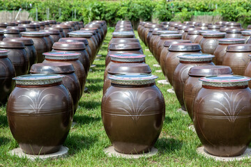 View of the traditional ceramic pots in the front yard