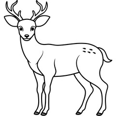       Deer  vector illustration style.
