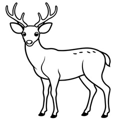       Deer  vector illustration style.
