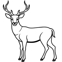       Deer  vector illustration style.
