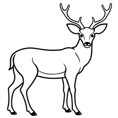       Deer  vector illustration style.
