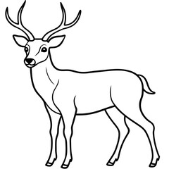       Deer  vector illustration style.
