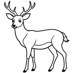       Deer  vector illustration style.
