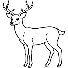       Deer  vector illustration style.
