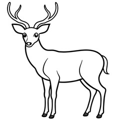       Deer  vector illustration style.
