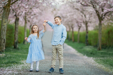 Cute smiling boy and girl brother and sister are walking along the street of cherry blossoms. Happy children. Warm bright spring.