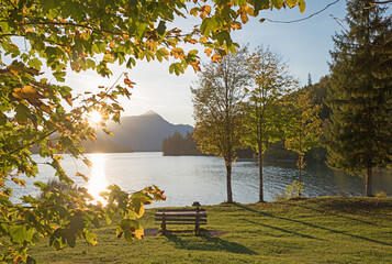 golden sunset at lake shore Walchensee, sun shines through branches. recreational area with benches - 780677408