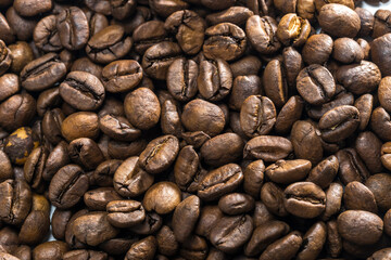 Grão de Café organico torrado