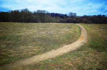 Curved, right aligned path in spring countryside park - 780679895