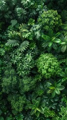 Aerial view of lush green forest canopy with various shades of green foliage, suitable for backgrounds or nature themes.