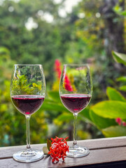 Taças de vinho tinto na janela com vista para jardim exuberante.