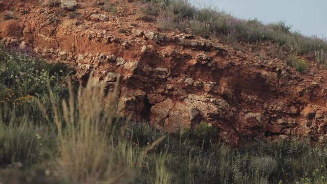 Smooth, slow motion video of landscape and ground, desert land textures, mountain location and terrain, wild grasses and lights, weeds, Australian red, arid land and cracks, rocks, drought, climate