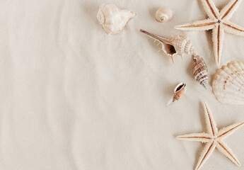 Seashells on sandy beach texture  background with copy space. Summer vacation backdrop.Neutral...