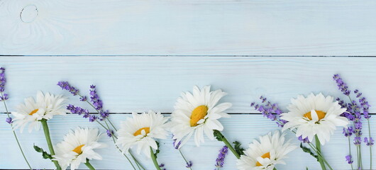 Chamomile daisy and lavender flowers frame template on blue wooden backdrop top view, copy space.Banner.Flowers background.  Floral card