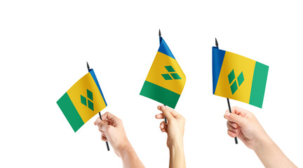 A group of people are holding small flags of Saint Vincent in their hands.