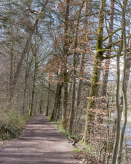 trees and path on shore of lake  at public park, Stuttgart