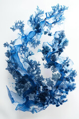 algas azules sobre fondo blanco